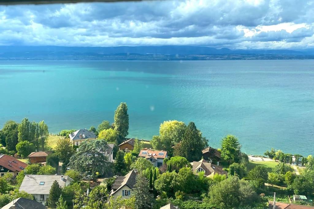 Appartement Avec Vue 180 Sur Le Lac Leman Тонон-ле-Бен Екстер'єр фото